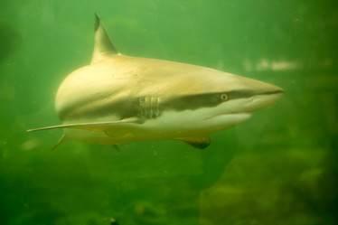 Similar image 22106103