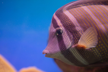 Similar image 22105988