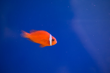 Similar image 22106104