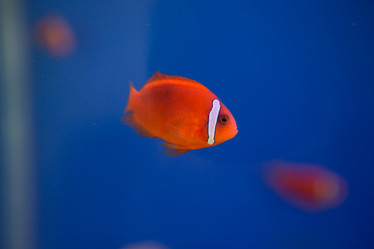 Similar image 22106105