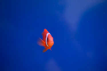 Similar image 22106106