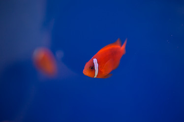 Similar image 22106107