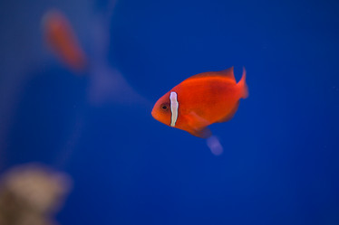 Similar image 22106108