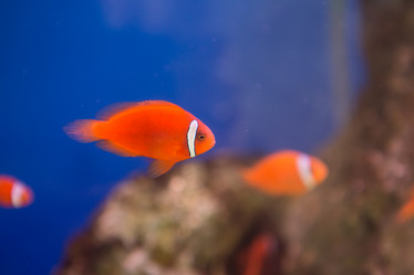 Similar image 22106109