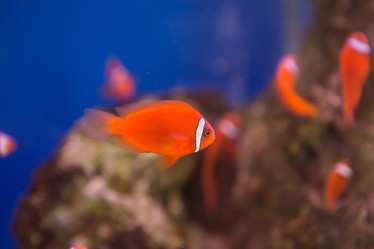 Similar image 22106110