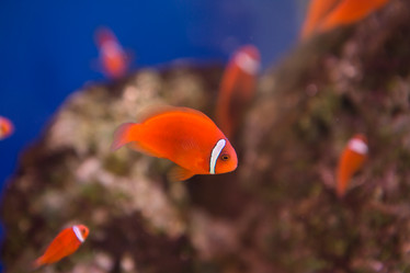 Similar image 22106111