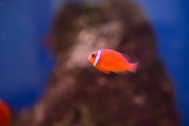 Similar image 22106112