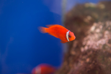 Similar image 22106113