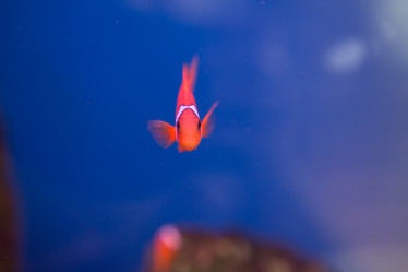 Similar image 22106114