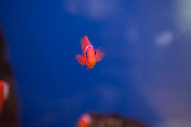 Similar image 22106115