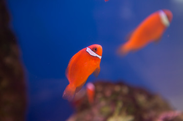 Similar image 22106116