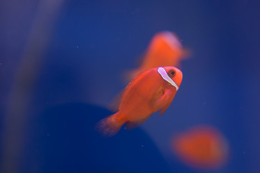 Similar image 22106117