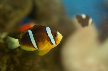 Similar image 22106119