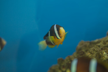 Similar image 22106120