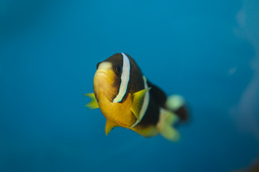 Similar image 22106121