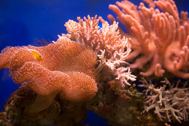 Similar image 22106122