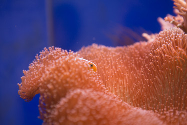 Similar image 22106123