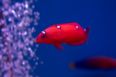 Similar image 22105992