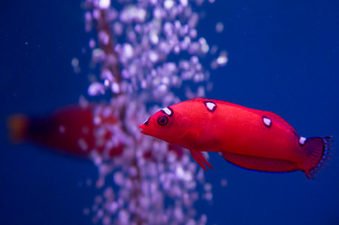 Similar image 22105993