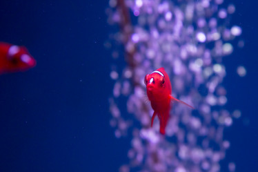 Similar image 22105994