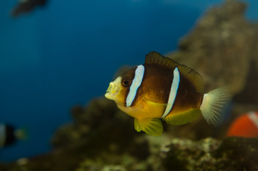 Similar image 22105995