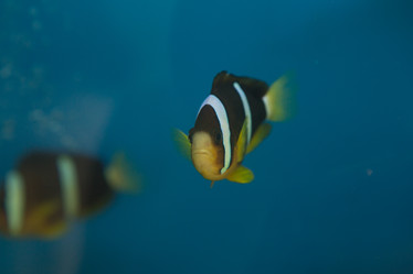 Similar image 22106124