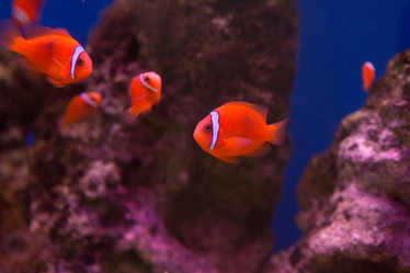 Similar image 22106125