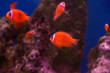 Similar image 22106126