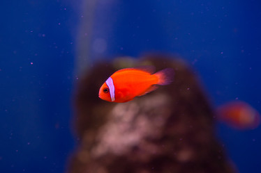 Similar image 22106128