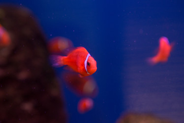 Similar image 22106130