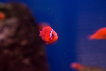 Similar image 22106131