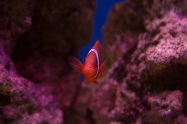 Similar image 22106132