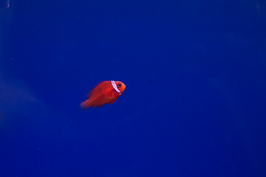 Similar image 22106133