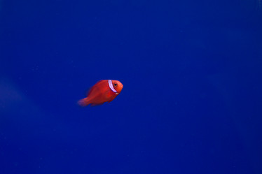 Similar image 22106134