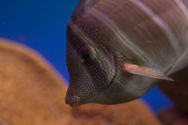 Similar image 22106135