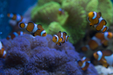 Similar image 22106136