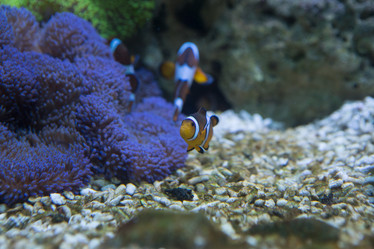 Similar image 22106137