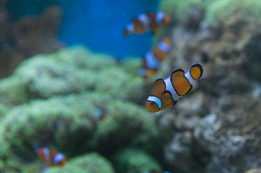 Similar image 22106140