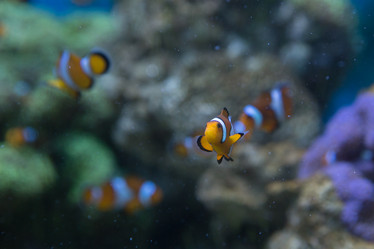 Similar image 22106141