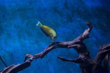 Similar image 22106142