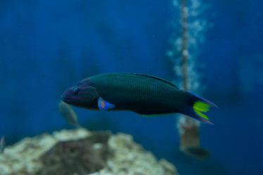 Similar image 22106143