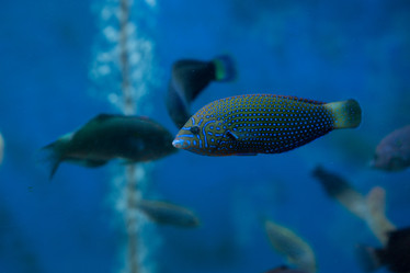 Similar image 22106144