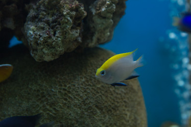 Similar image 22106145