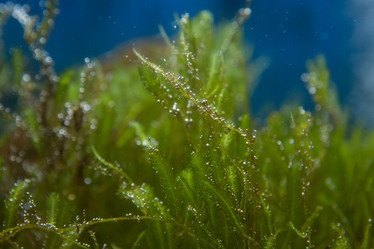 Similar image 22106147