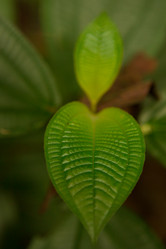 Similar image 22106148