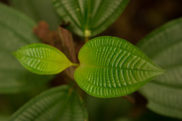 Similar image 22106149