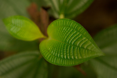 Similar image 22106150