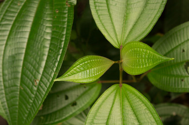 Similar image 22106151