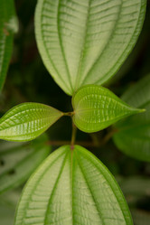 Similar image 22106152