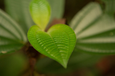 Similar image 22106153